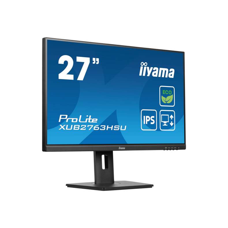 27'' Iiyama ProLite 100Hz, IPS Pivot