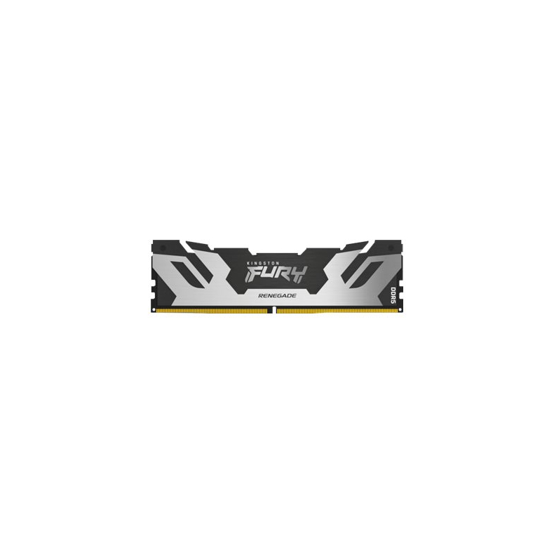 16GB 6400 DDR5 FURY Renegade Silver