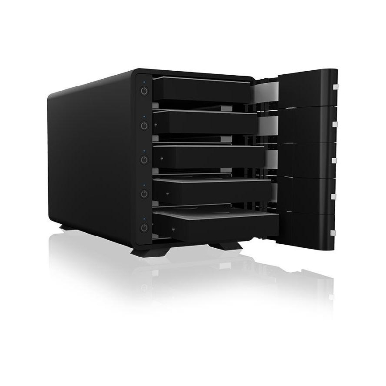 RaidSonic IB-3805-C31