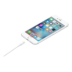 Apple USB A - Lightning 1m