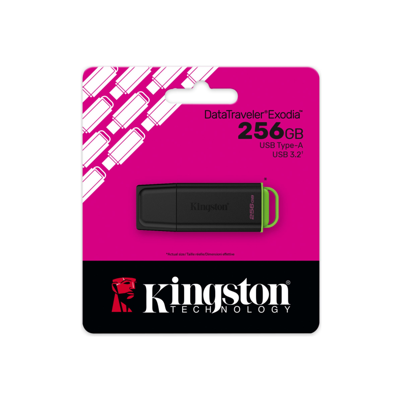 256GB USB3.2 Gen 2 DataTraveler Exodia