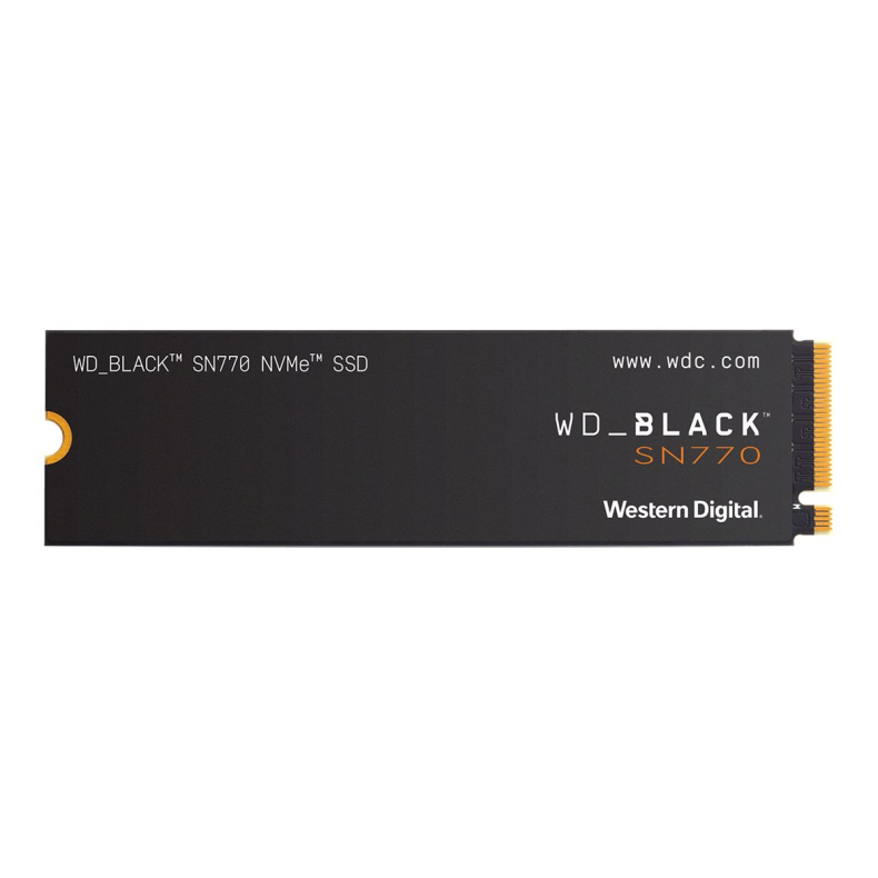 1TB NVMe SN770  WDS100T3X0E