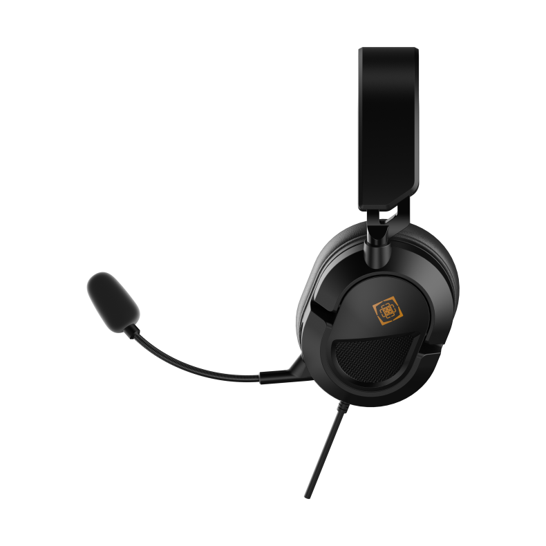 DH120 Stereo PC Headset