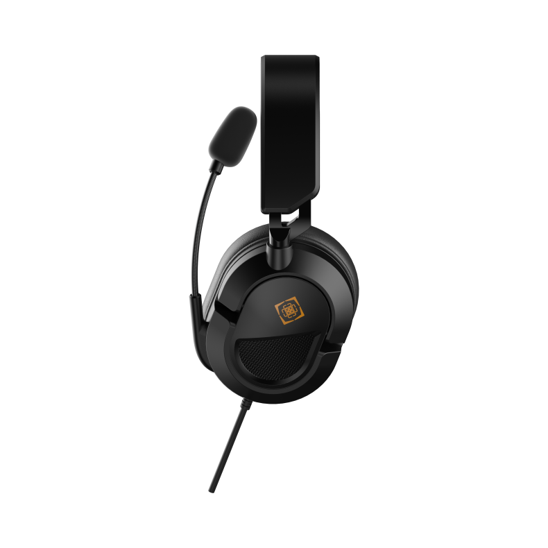 DH120 Stereo PC Headset