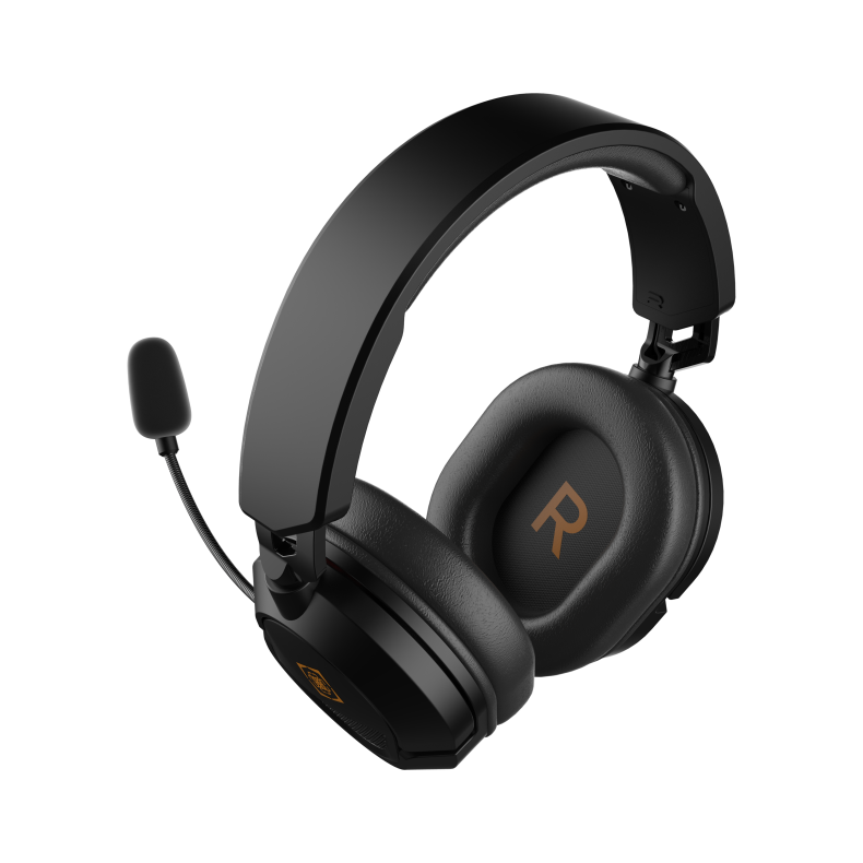 DH120 Stereo PC Headset
