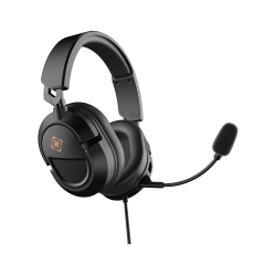 DH120 Stereo PC Headset