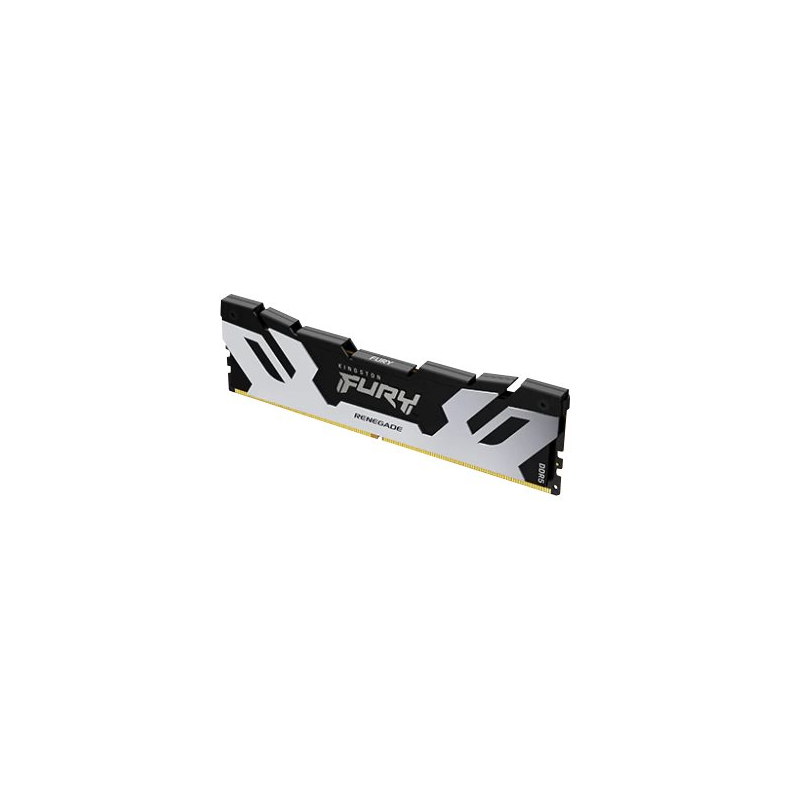 16GB FURY DDR5 RENEGADE SILVER