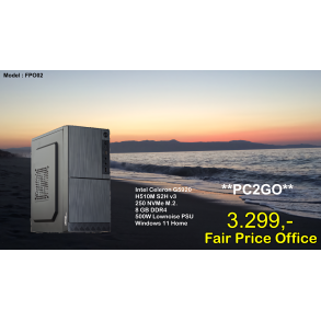 Luc Computer FPO02 Celeron G5920 Win11 **PC2GO**