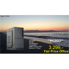 Luc Computer FPO02 N300 Win11 **PC2GO**