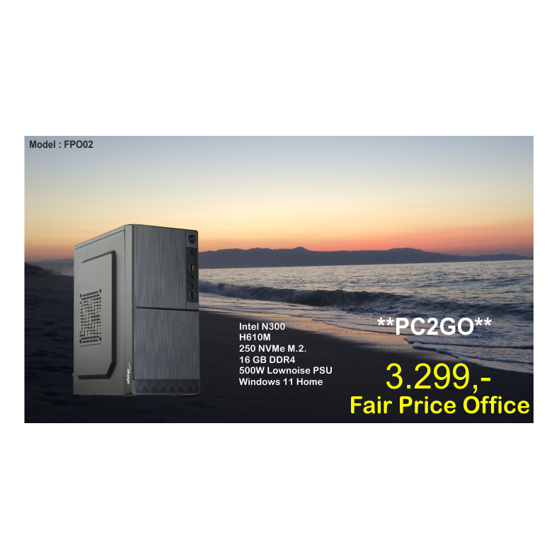 Luc Computer FPO02 N300 Win11 **PC2GO**