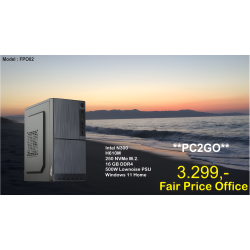 Luc Computer FPO02 N300 Win11 **PC2GO**