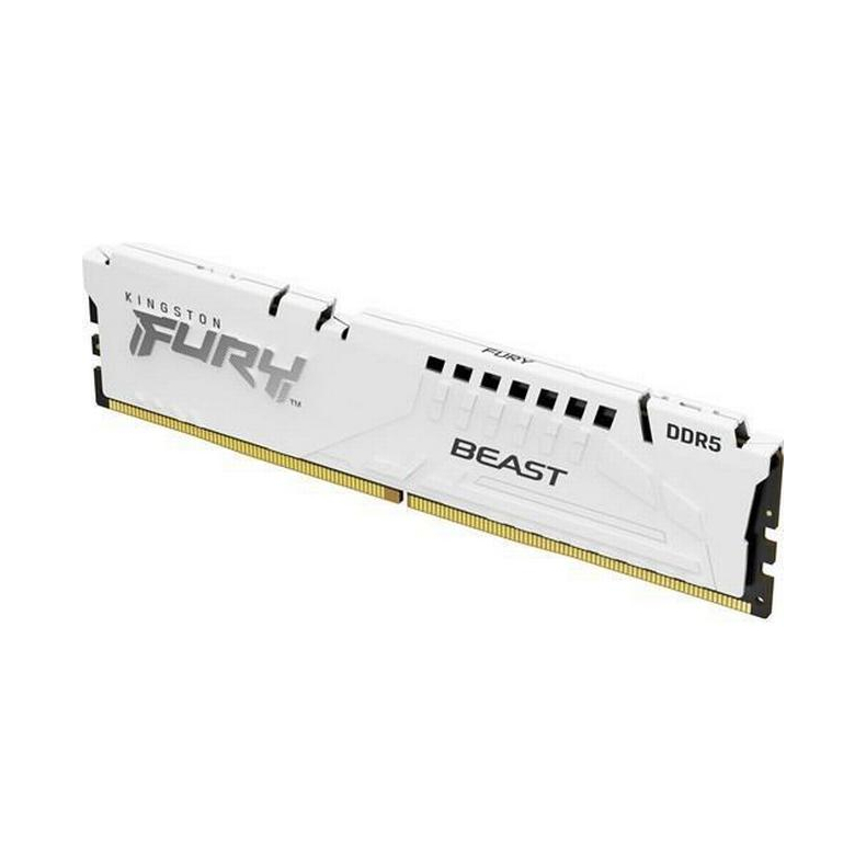 16GB 5600MHz DDR5 CL40 FURY Beast