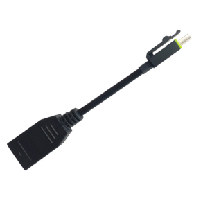 PNY Mini Displayport til Displayport hun