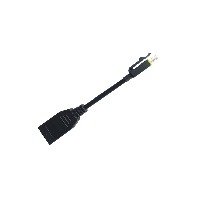 PNY Mini Displayport til Displayport hun