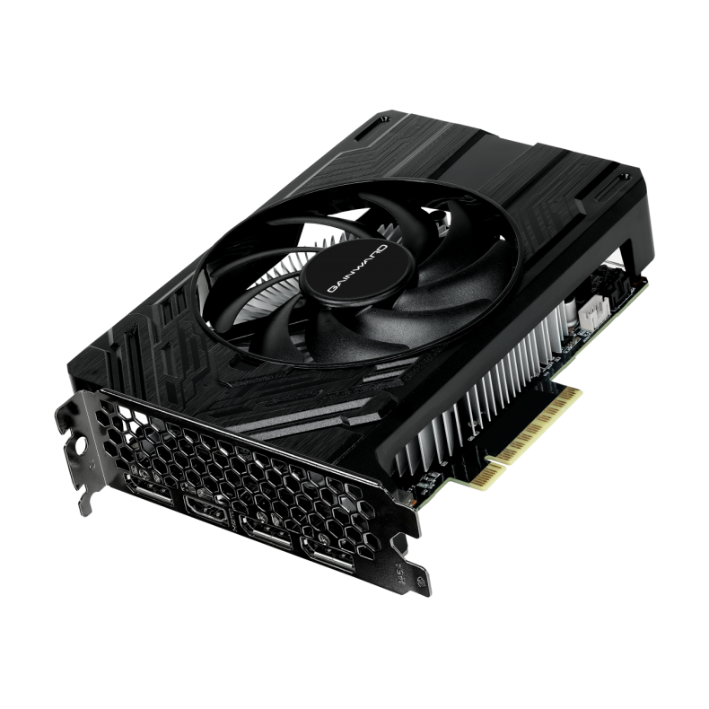 RTX 4060 Pegasus 8GB